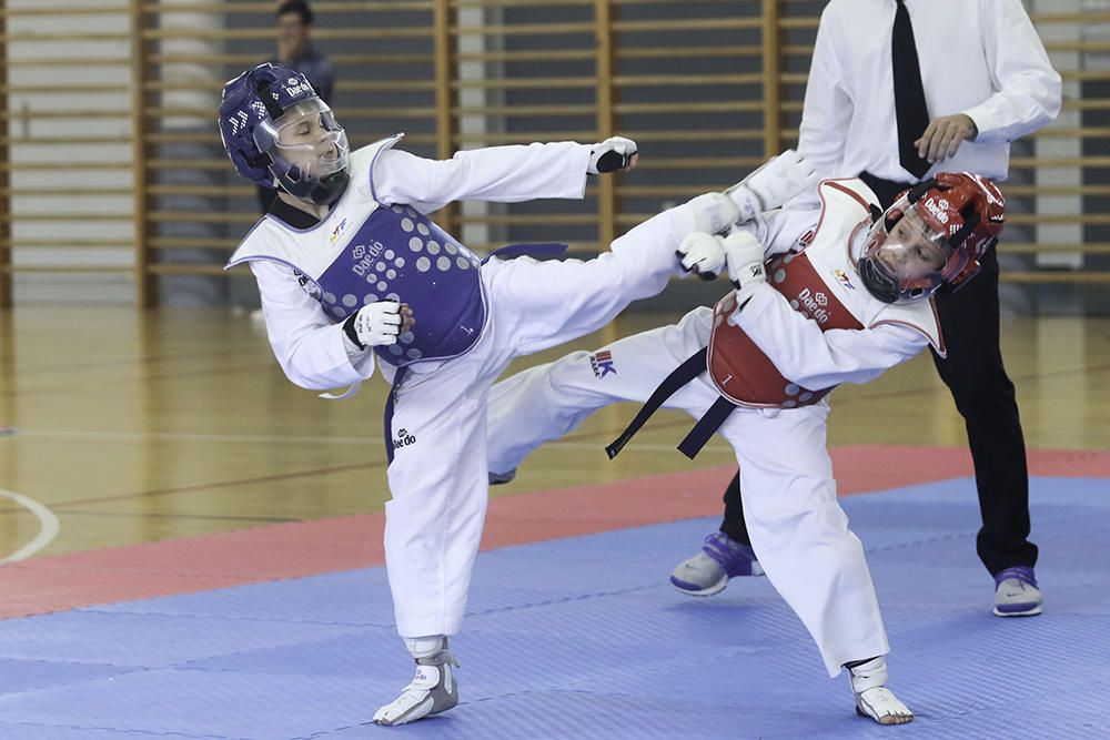 IV Open de Ibiza de taekwondo