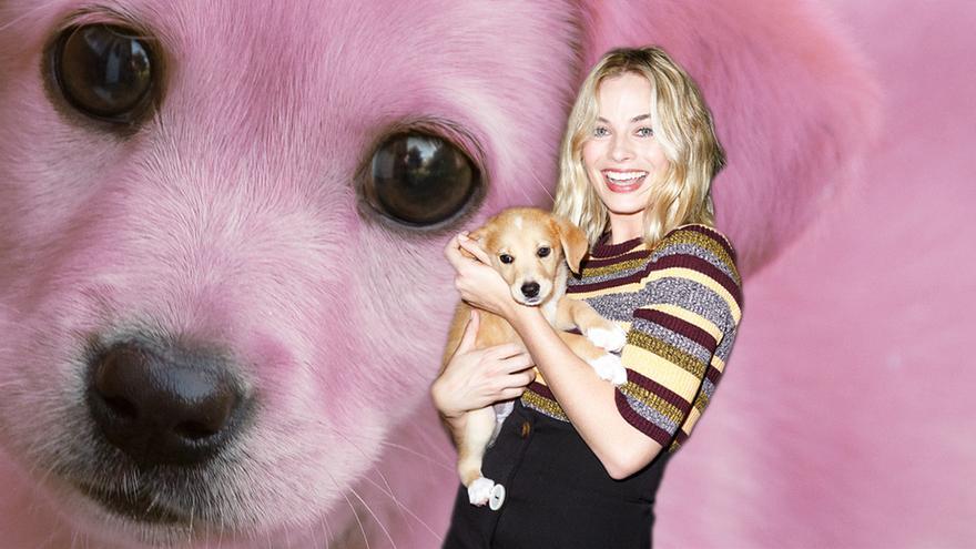 Famosos acariciando a perros: ¿qué más quieres?