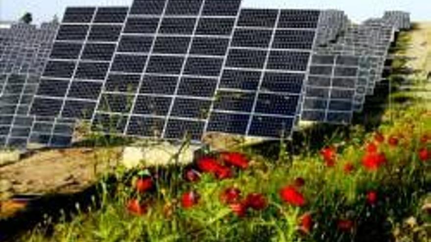 La planta solar de Hervás podrá funcionar dentro de unas semanas