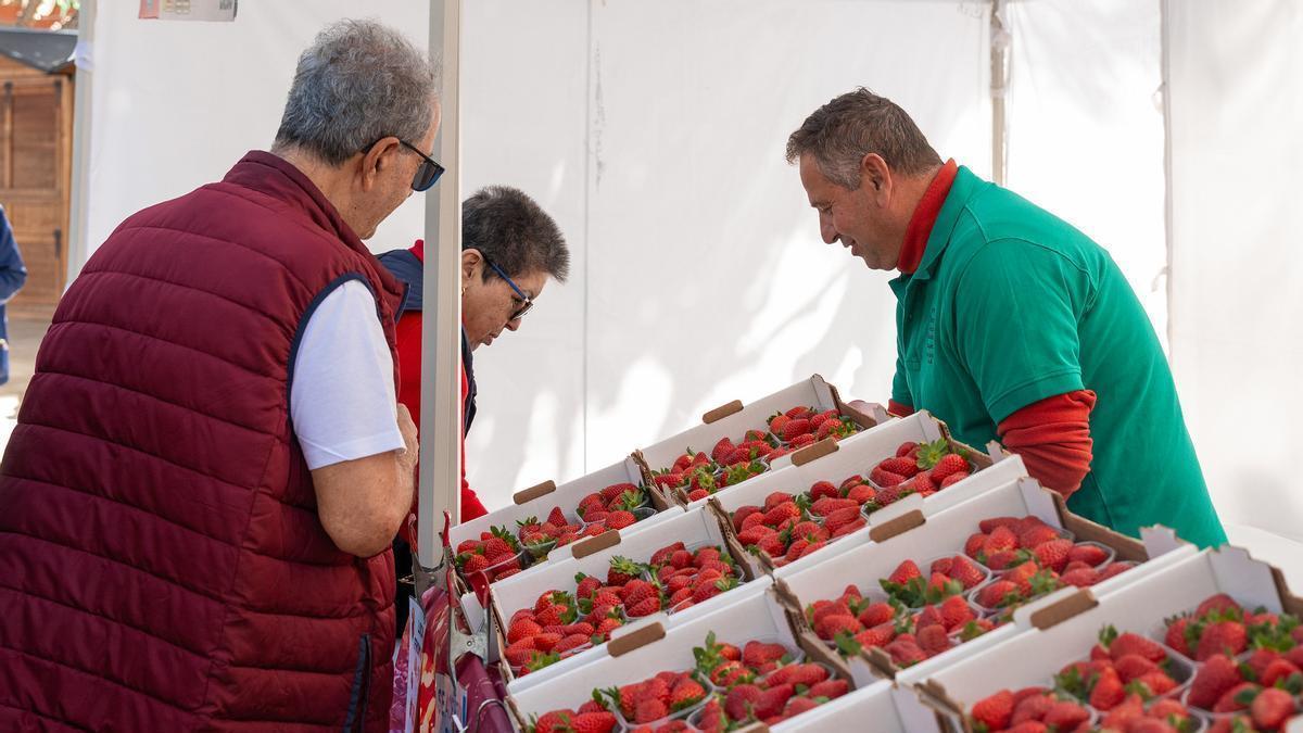 Mercado Agrícola de Gáldar