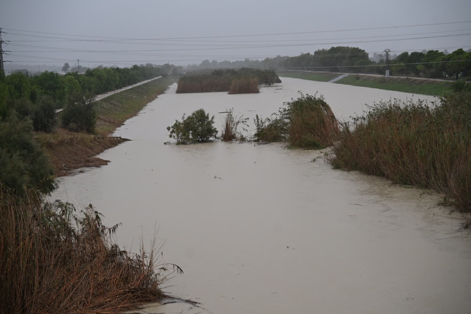 Así está el río Segura en Guardamar