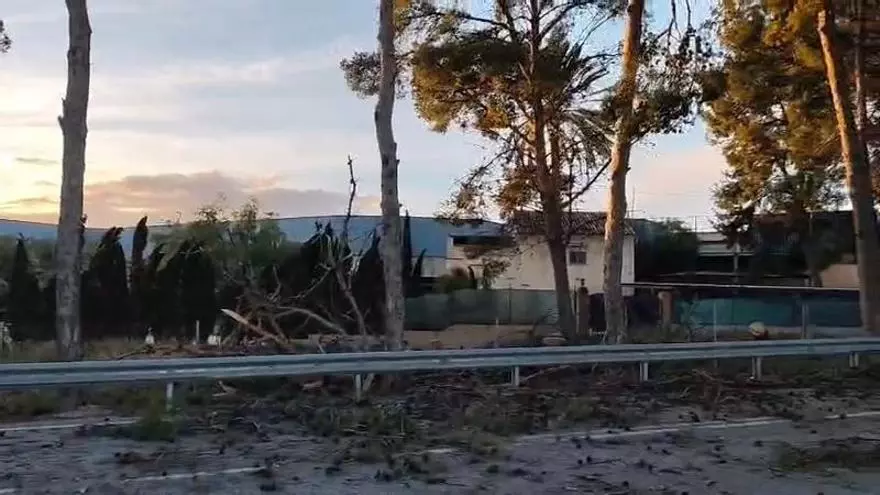 Actuaciones en la carretera de La Estación de Novelda, cortada la tarde del martes