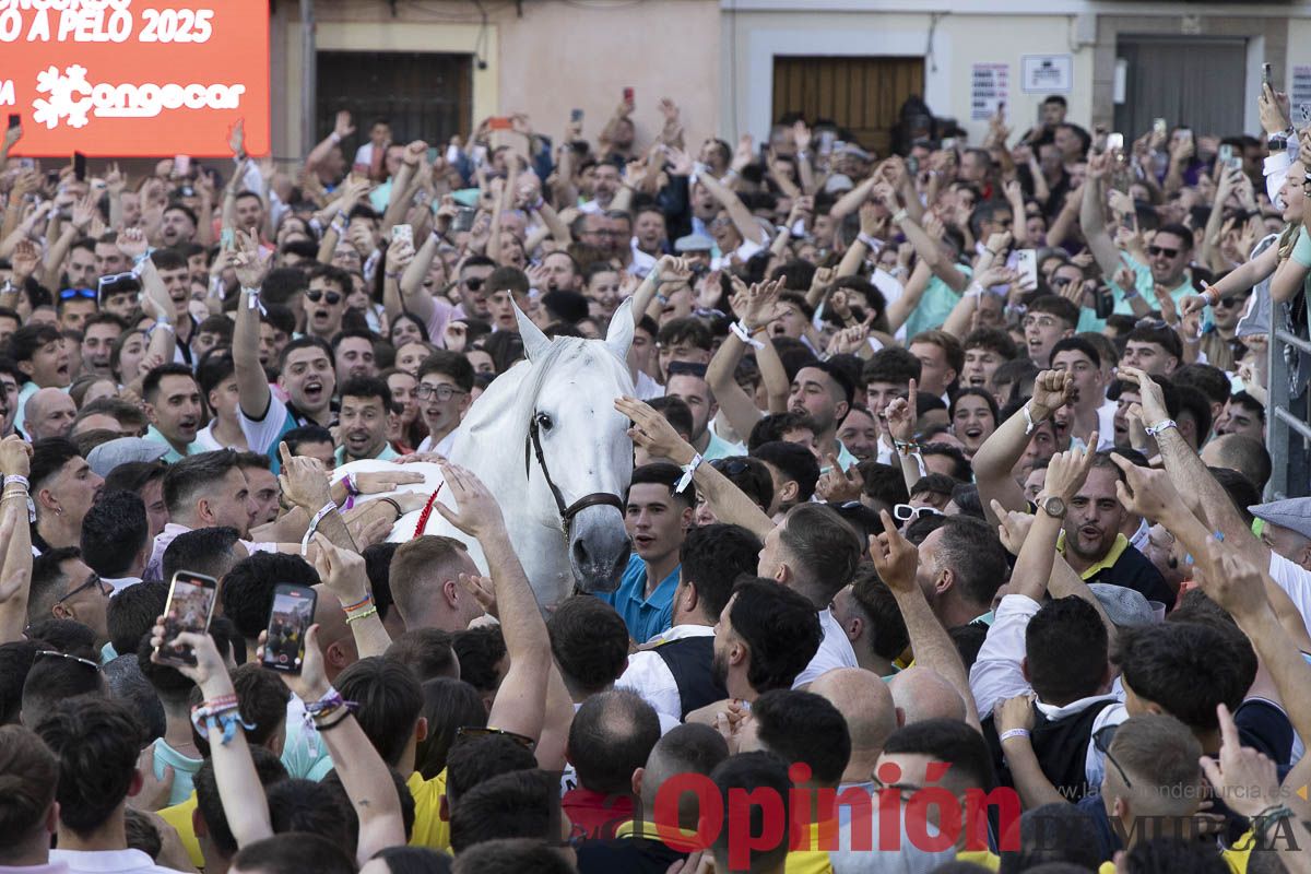 Fiestas de Caravaca | Entrega de premios del concurso morfológico