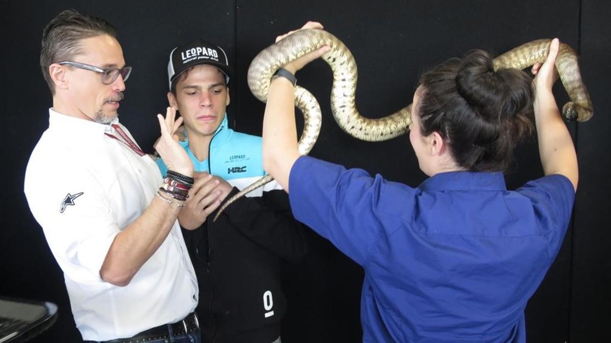 Ignasi Sagnier, DIRCOM del Mundial, a la izquierda, ayuda a Joan Mir para que se fotografie con una serpiente pitón, en Phillip Island (Australia).