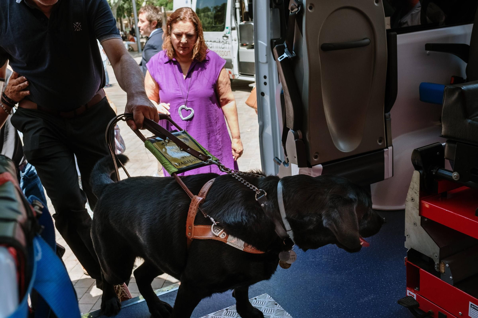 Los perros guía para pacientes con discapacidad ya pueden subir a las ambulancias en Baleares