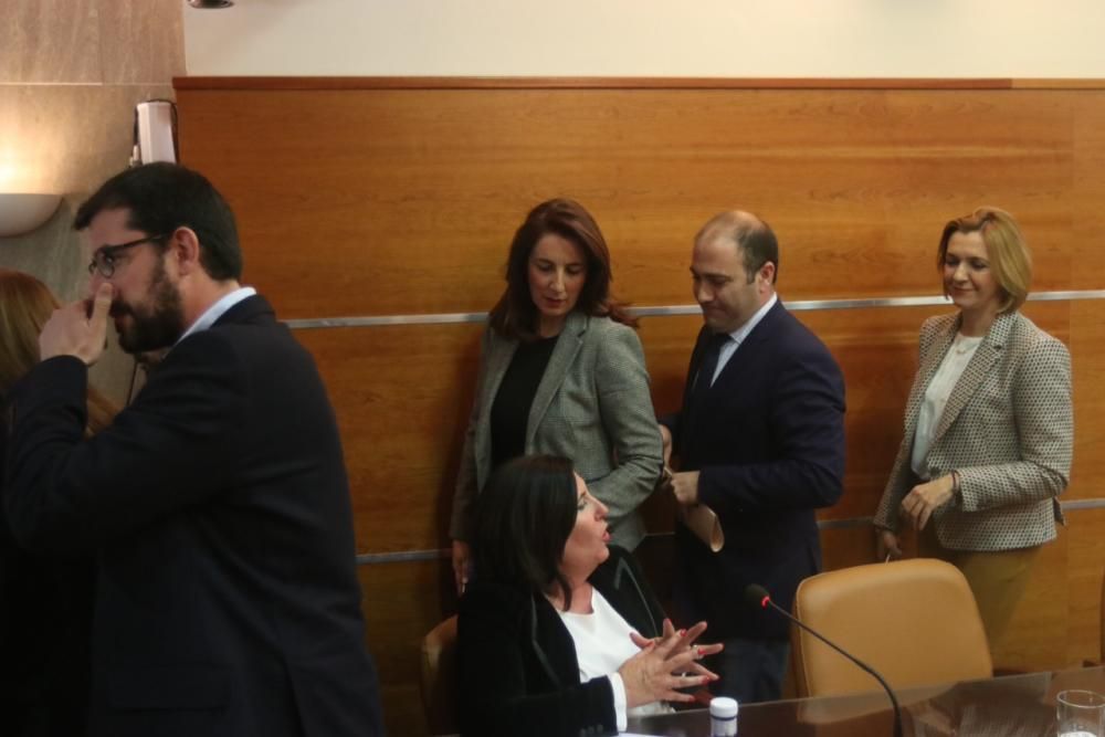 El pleno de Alhaurín el Grande no puede votar la moción de censura contra Antonia Ledesma por las discrepancias en la formación de la mesa de edad