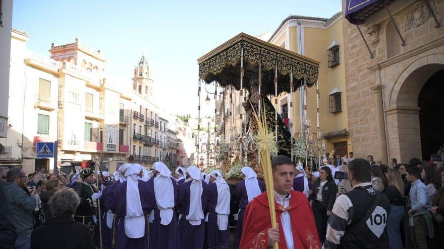 Semana Santa de Antequera 2026 | Domingo de Ramos