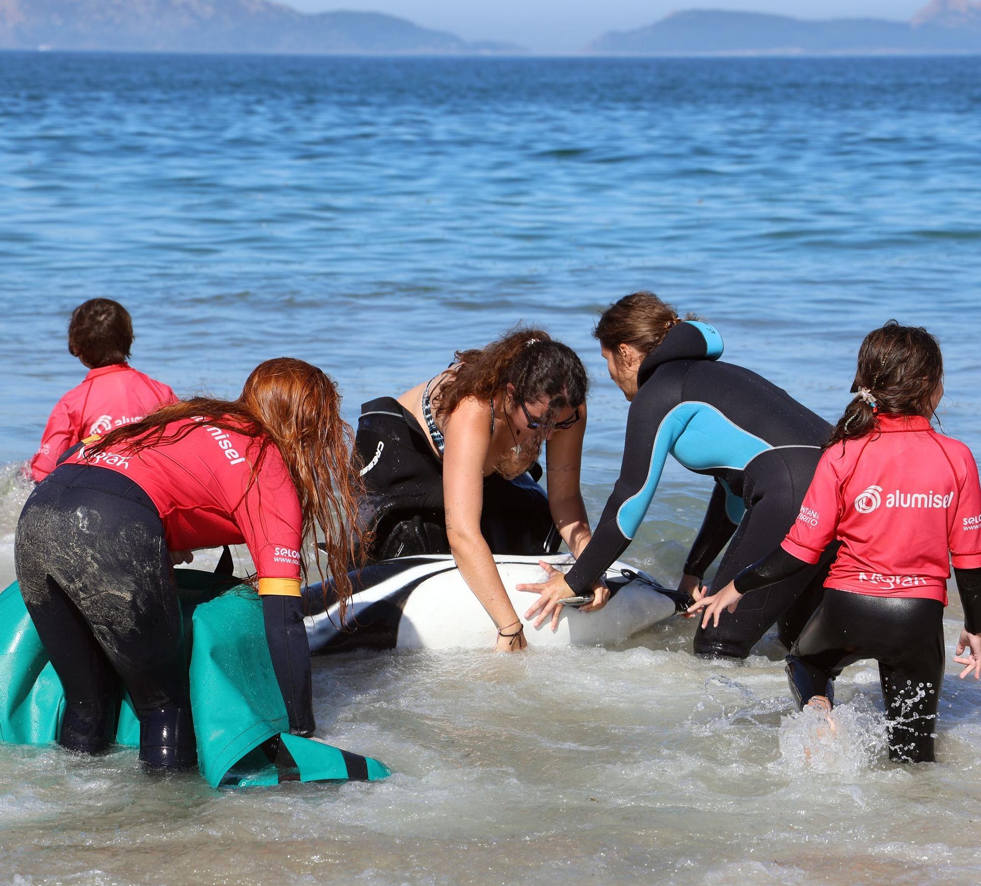 Una segunda vida  para los animales varados desde la playa de Nigrán