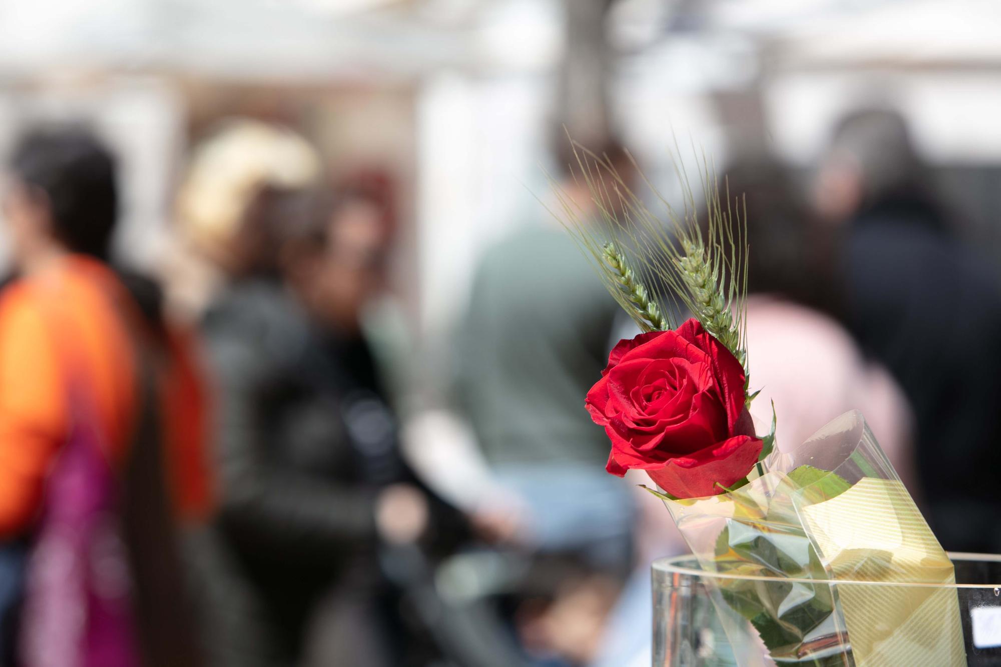 Feria del Libro en Ibiza (Sant Jordi) 2022