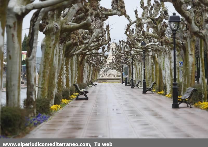 Así vive Castellón el coronavirus