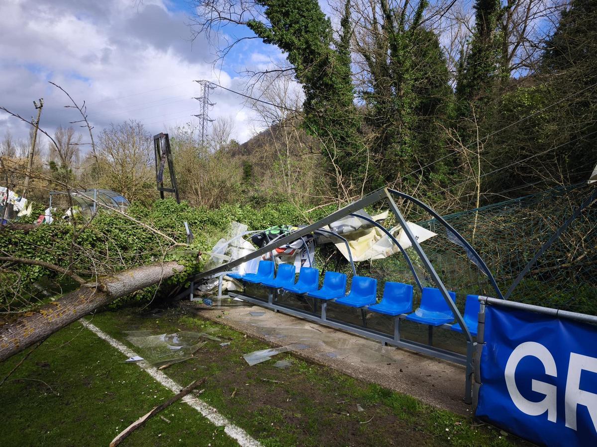 El árbol caído sobre el banquillo del campo del Cornellana.