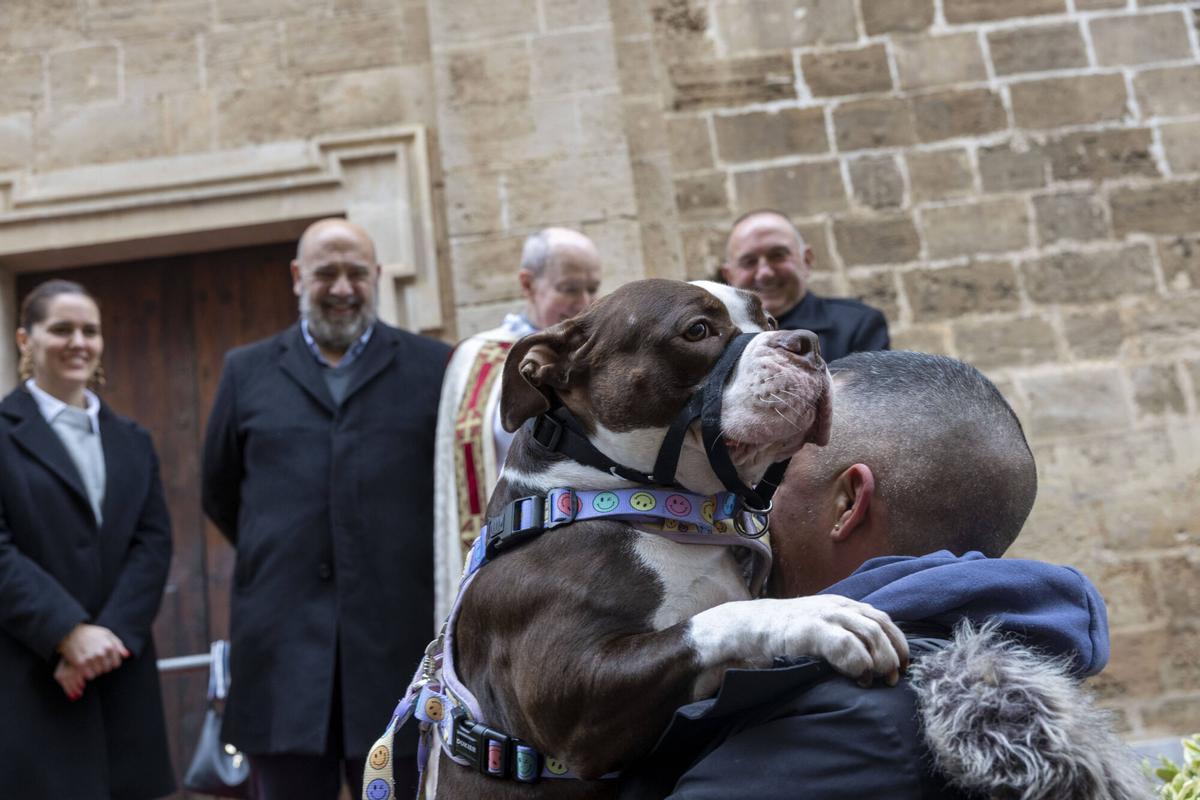 PALMA. BENEIDES DE PALMA 2026.