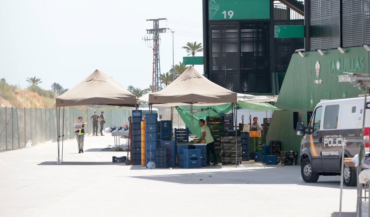 La redada de falsificaciones del mercadillo del Martínez Valero en Elche, en imágenes