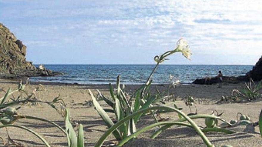 Playas de Lorca.