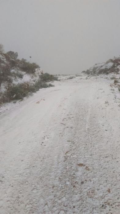 Nieve en la sierrra de Los Ramos