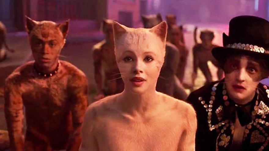 «Cats»: Un desastre anunciat