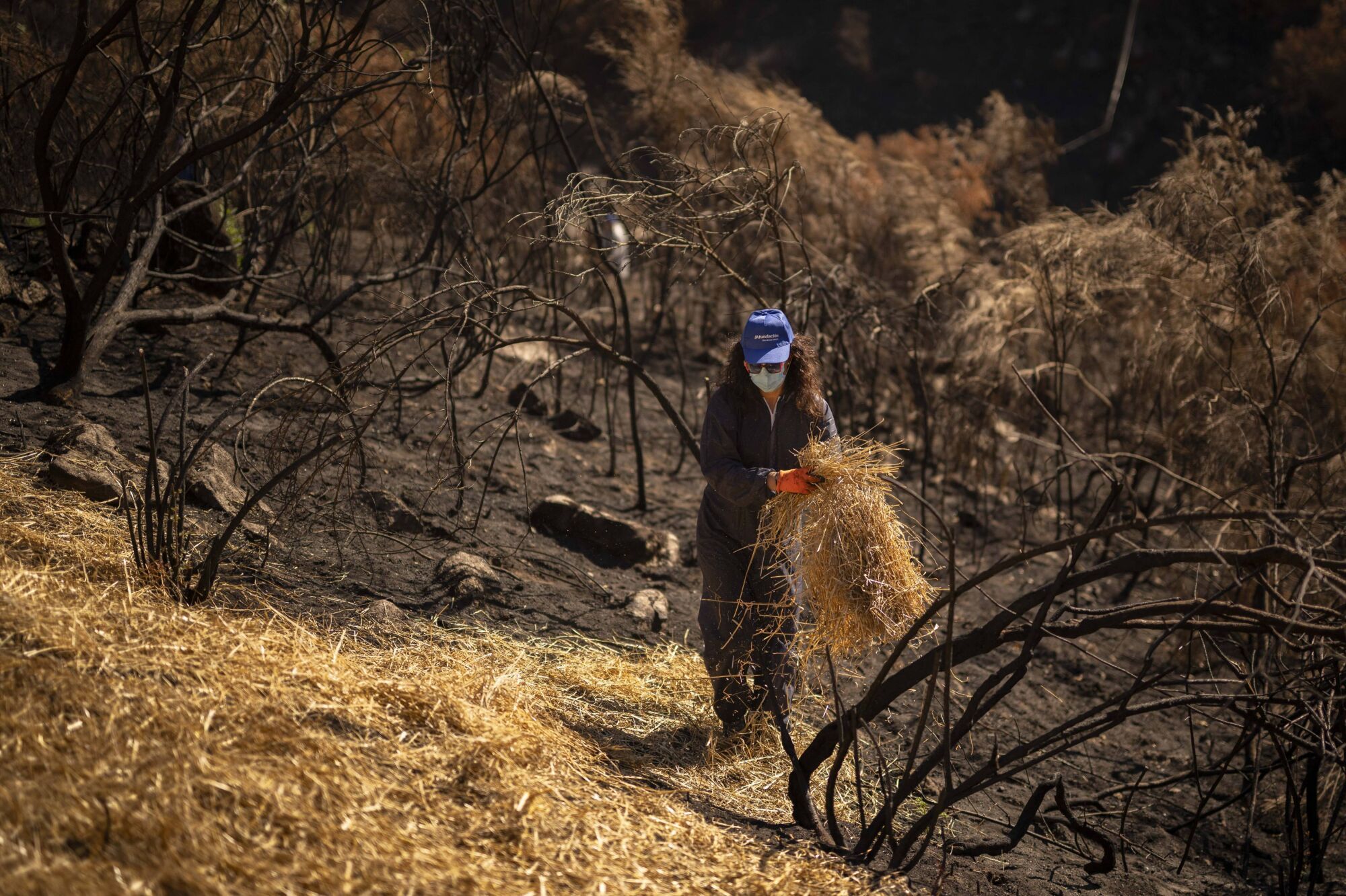 MANZANEDA (OURENSE). LOS VOLUNTARIOS COMIENZAN SU TRABAJO PARA CONSTRUIR ESTRUCTURAS QUE IMPIDAN QUE LAS LLUVIAS ARRASTREN EL TERRENO CALCINADO POR LOS INCENDIOS FORESTALES QUE AFECTARON A GALICIA EN AGOSTO.