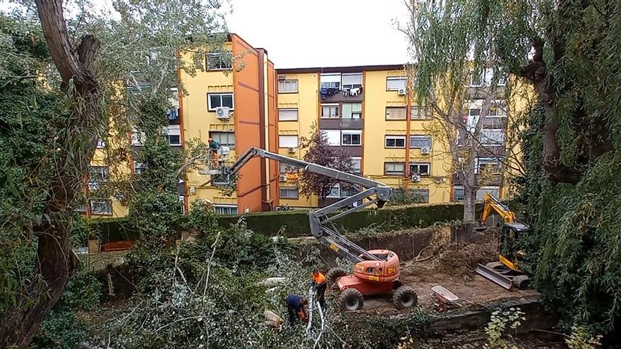 Entre noviembre y diciembre de 2022 se ha producido la tala indiscriminada de todos los árboles y arbustos del corredor verde de la acequia de Las Abdulas.