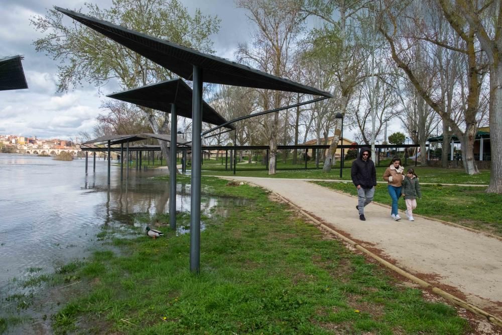 Crecida del río Duero