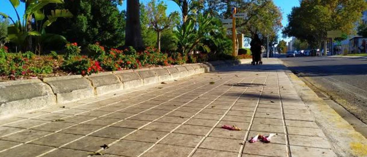 Hojas de los árboles y restos de la resina de las plantas sobre la acera de la calle Valencia.