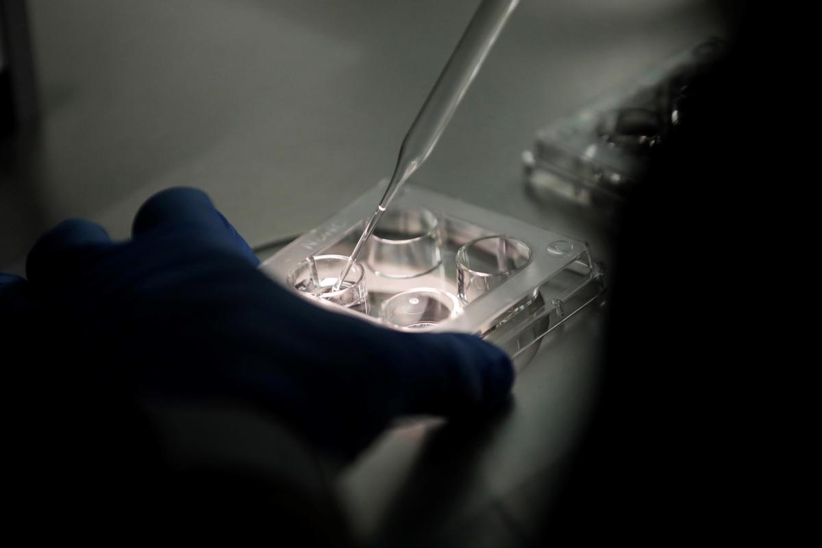 Un chip selecciona los espermatozoides para mejorar la reproducción asistida
