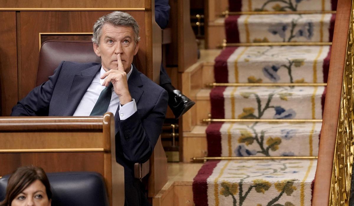 Alberto Núñez Feijóo en la sesión de control al Gobierno en el Congreso de los Diputados.