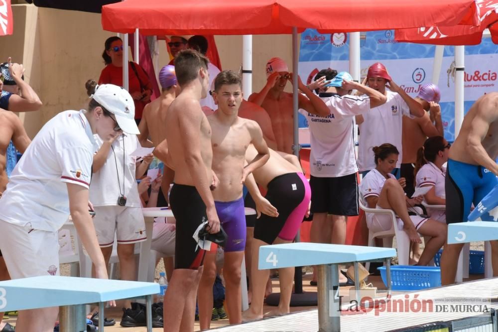 Final del Campeonato regional de natación.