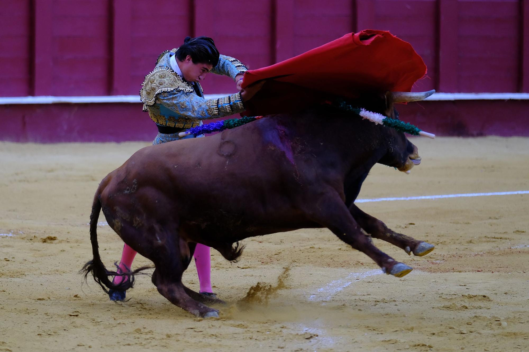 Toros en la Feria I Octava corrida de abono en la Malagueta:  2ª Semifinal de las Escuelas Taurinas