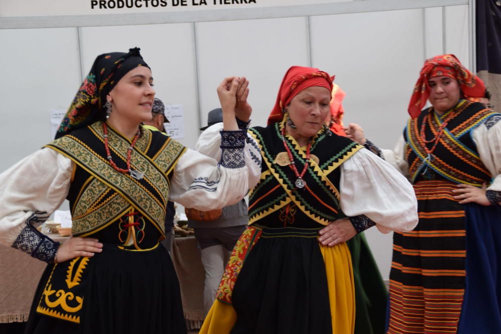 Feria ganadera de San Miguel en Carbajales de Alba