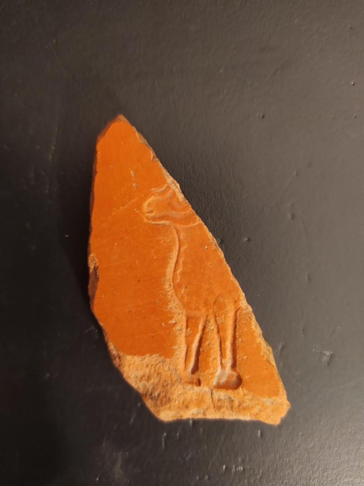 Encuentran restos paleocristianos bajo la iglesia del Sagrario