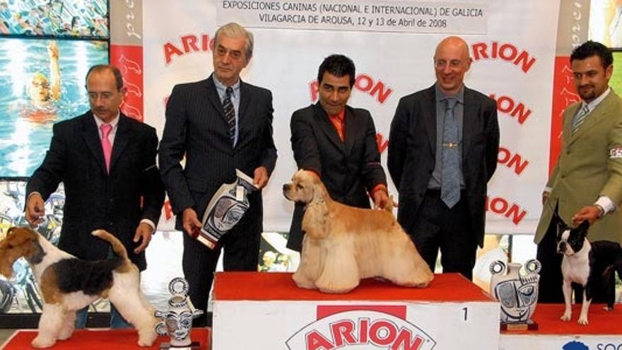 Los vencedores de las Exposiciones Internacional y Nacional Canina posan en el podio con sus propietarios y cuidadores.