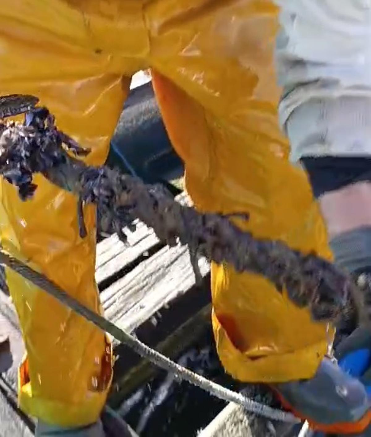 La mortandad se hace notar, sobre todo, en los tres primeros metros de cuerda.