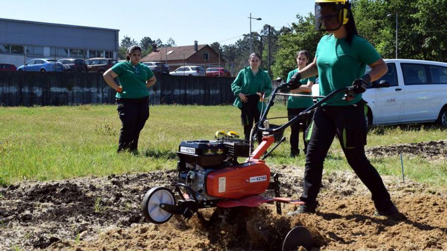 Estudiantes de Agrojardinería de Valga miden el potencial del compost natural frente al fertilizante comercial