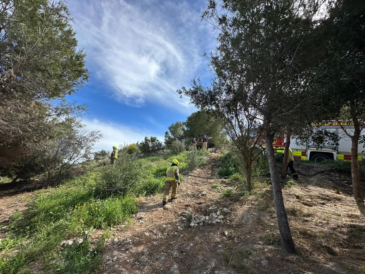 Los bomberos sofocan uno de los últimos incendios que se han producido en la Serra Grossa desde febrero.