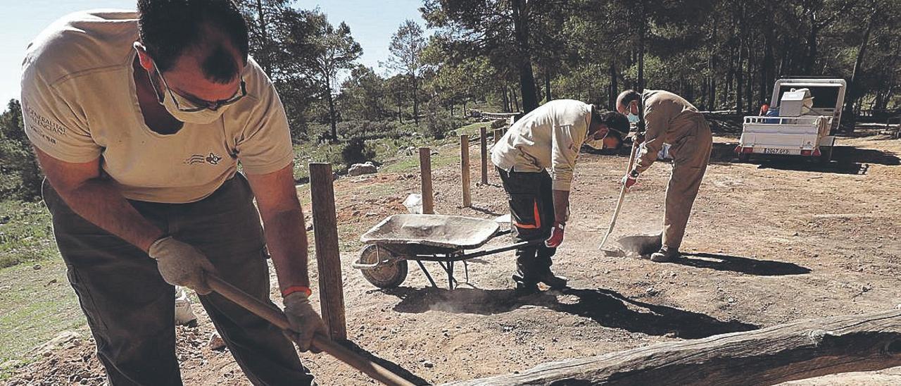 Operarios del departamento de Medio Ambiente, acondicionando la zona en la que se encontraban los antiguos «paelleros» del paraje de Sant Antoni.