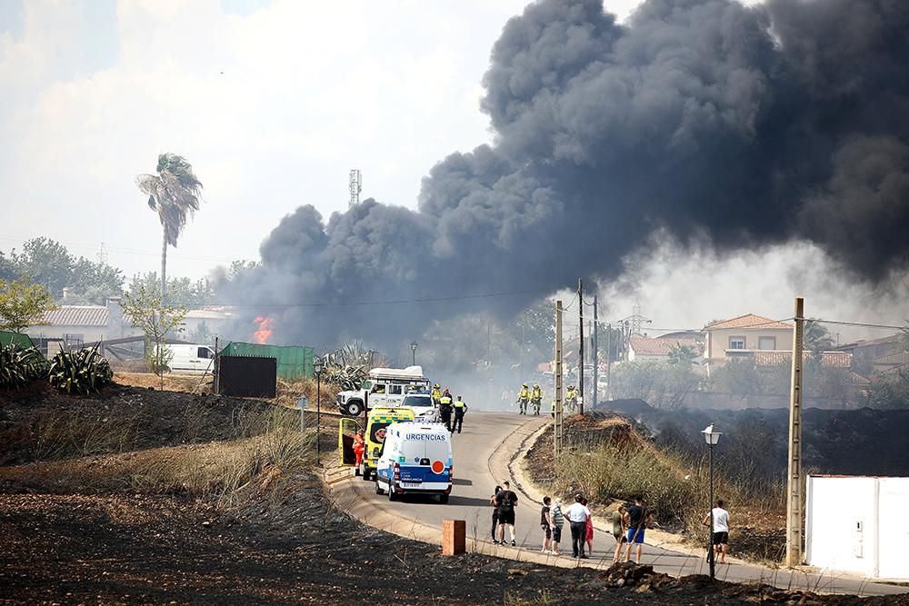 Un incendio obliga a desalojar ocho parcelas en la zona de Las Quemadillas
