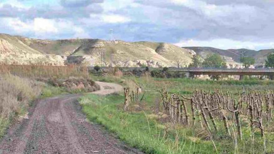 El ayuntamiento arregla varios caminos de la huerta