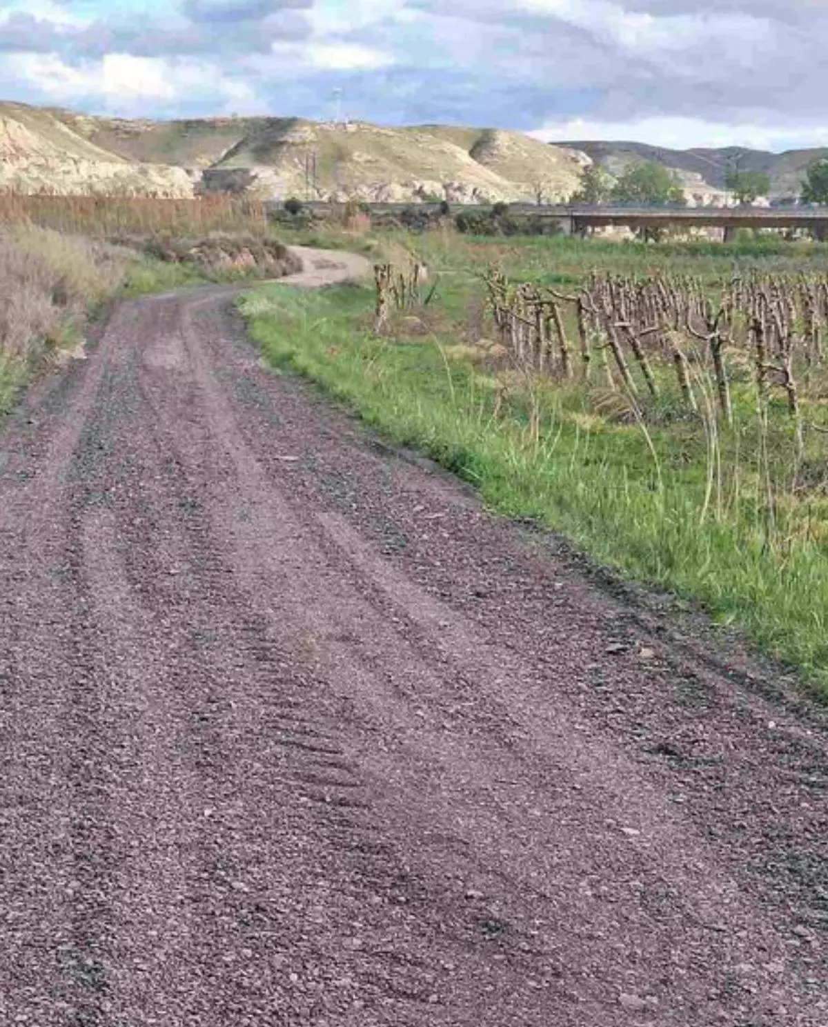 El ayuntamiento arregla varios caminos de la huerta