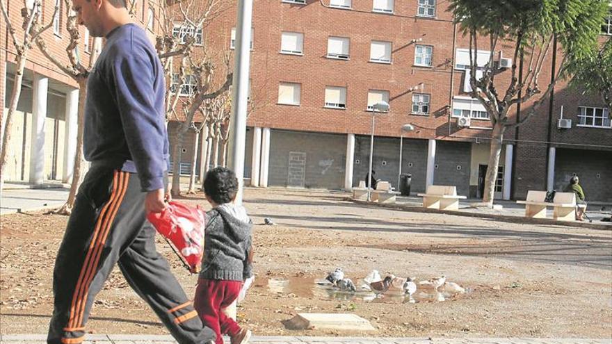 Burriana estudia usar águilas para ahuyentar a las molestas palomas