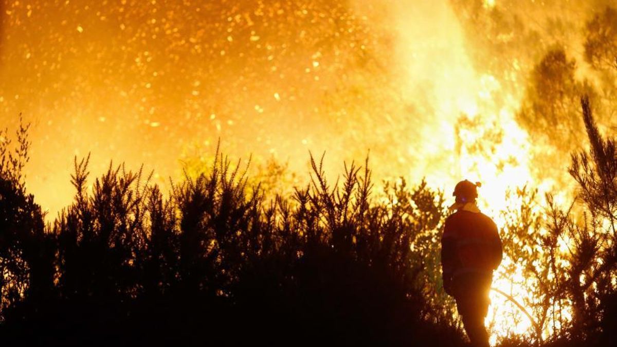 Lucha contra incendios forestales: los cambios clave que piden bomberos expertos para "no ir a ciegas contra el fuego"
