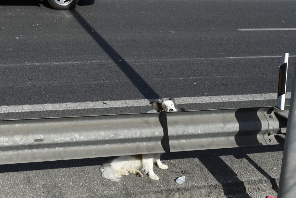 Cuatro heridos en un accidente en la A7