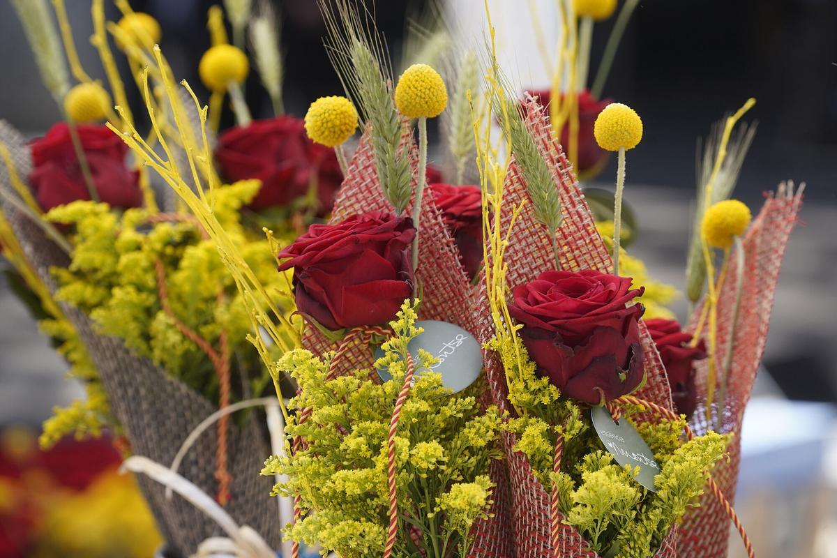 Rosas de Sant Jordi.