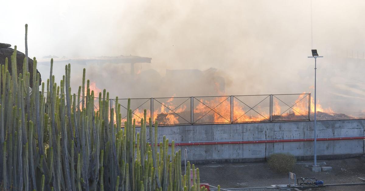 Incendio en el vertedero de Juan Grande, San Bartolomé de Tirajana