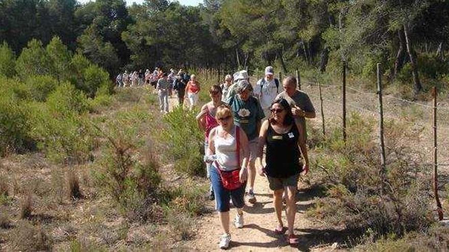 El Consell abrirá a los vecinos el bosque privado de los Trénor en la Vallesa