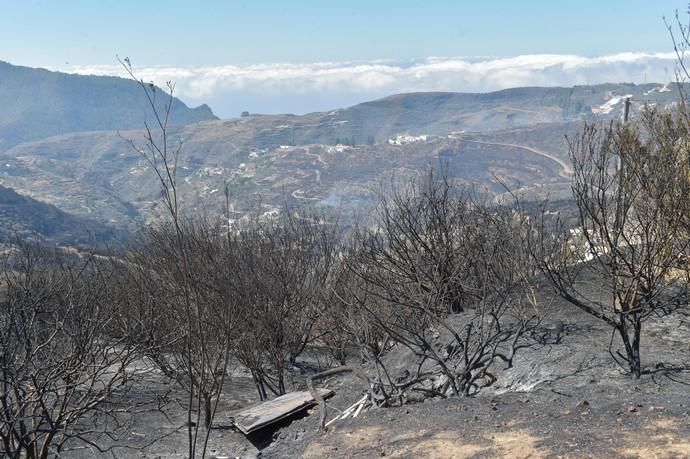 11-08-2019 Artenara. Segundo día del incendio en la cumbre  | 11/08/2019 | Fotógrafo: Andrés Cruz