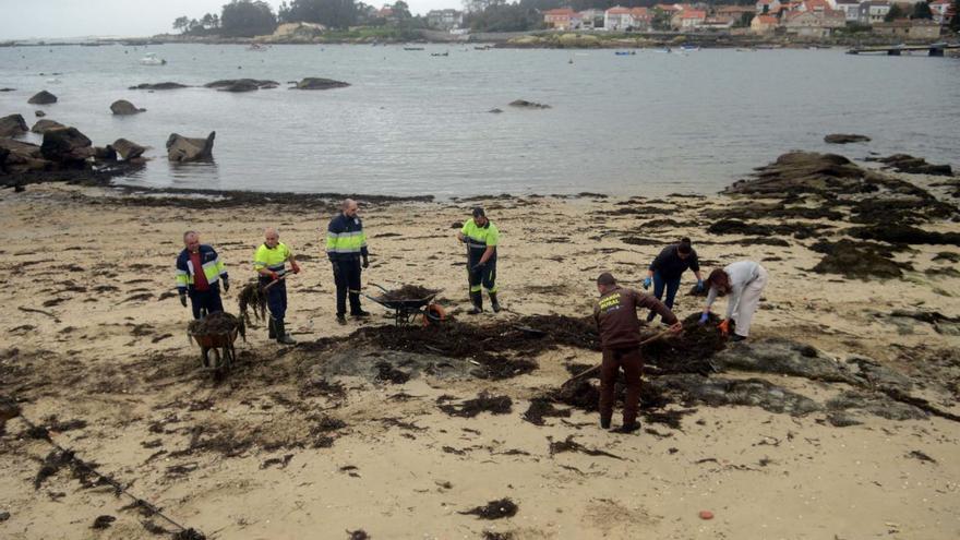 Trabajadores del Concello de A Illa limpian los restos de fuel en la playa de O Campo.