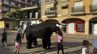 Los "bous al carrer" de Xeraco que no causan disgustos