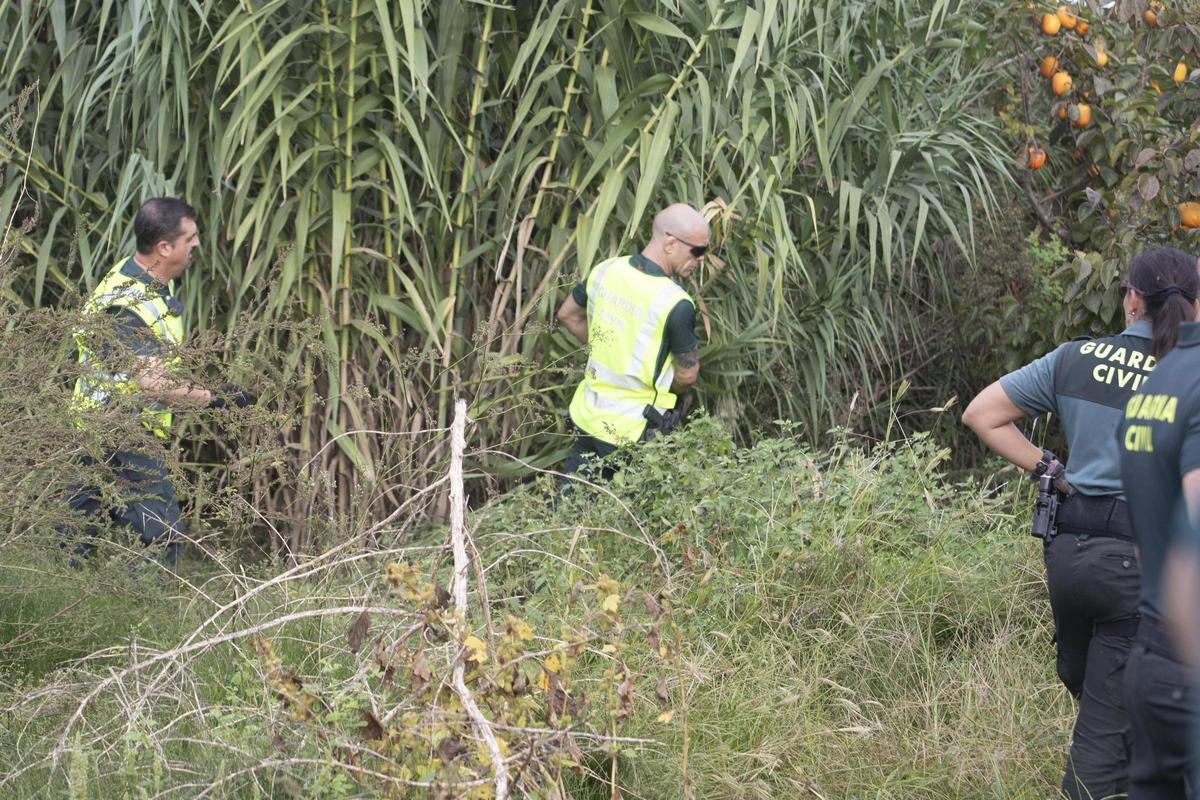 Agentes de la Guardia Civil peinan la partida del Casupet, en l'Alcúdia, donde se sospecha que pueda estar el cuerpo de Francisco Ruiz.