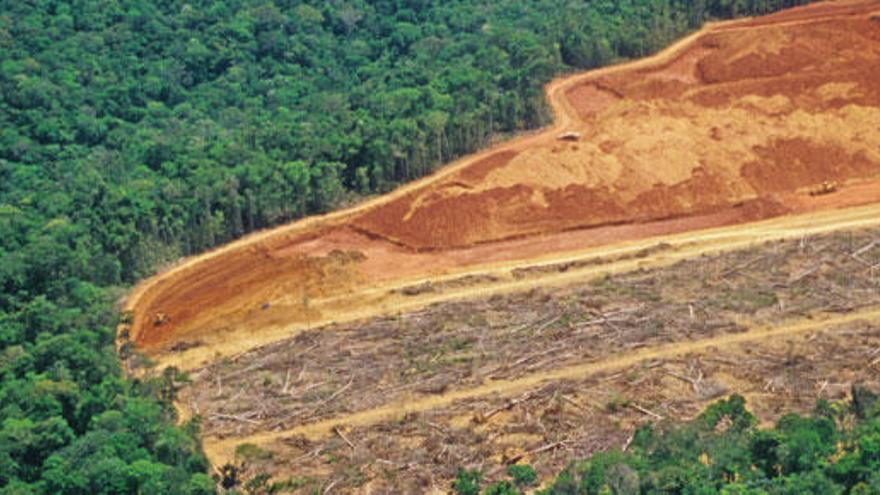 Excavadoras deforestan el Amazonas, pulmón de la Tierra.