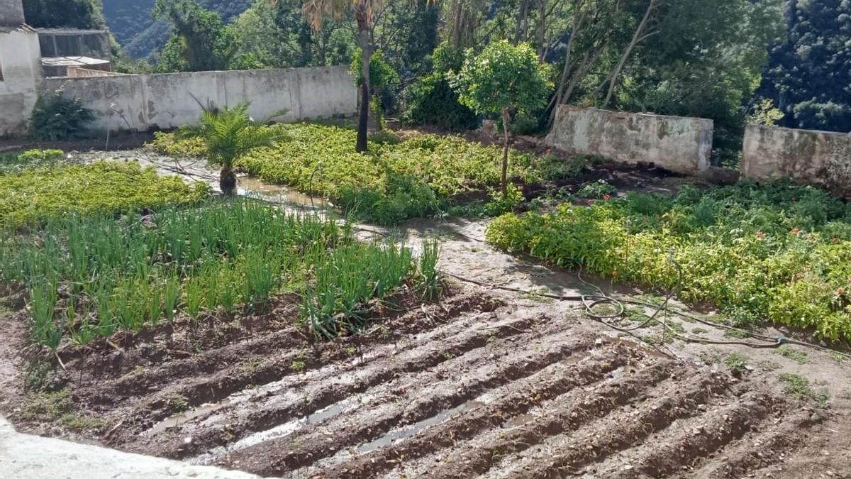 Vista del huerto en el que trabajan los residentes.